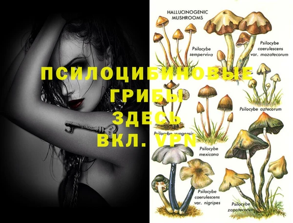 эйфоретик Алексеевка